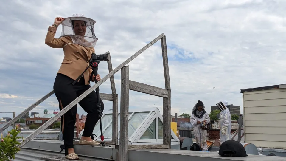Andr&eacute;e-Anne Rivest qui filme abeille